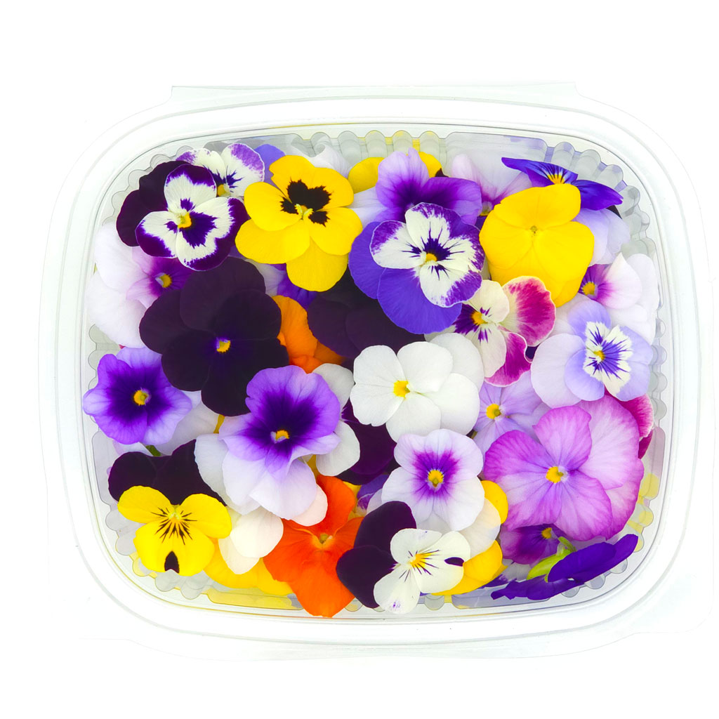 Fresh viola mix edible flowers grown in Lebanon by Vitacrops