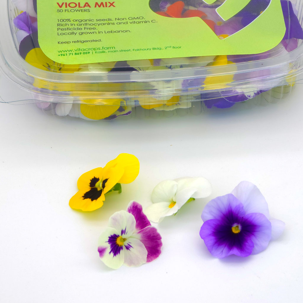 Colorful edible viola flowers for decorating gourmet dishes