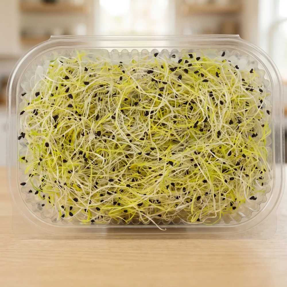Leek Sprouts Lebanon vitacrops