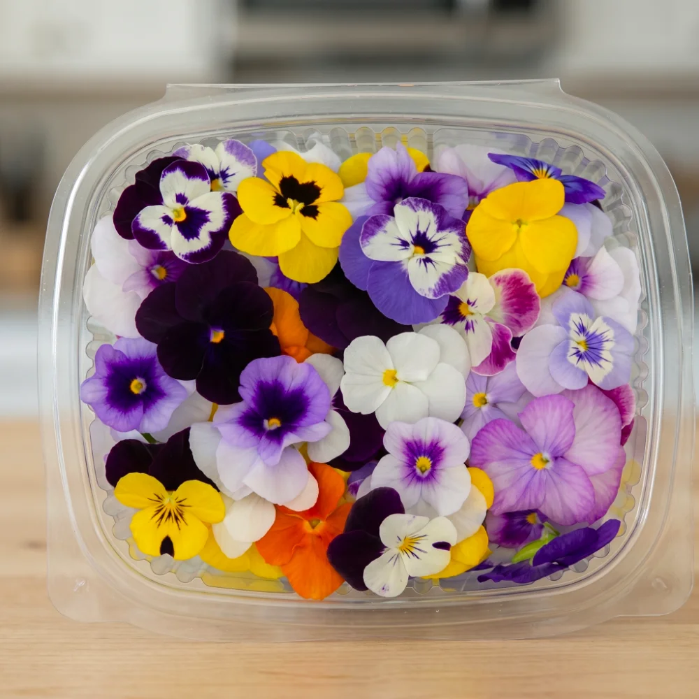 Fresh viola mix edible flowers grown in Lebanon by Vitacrops