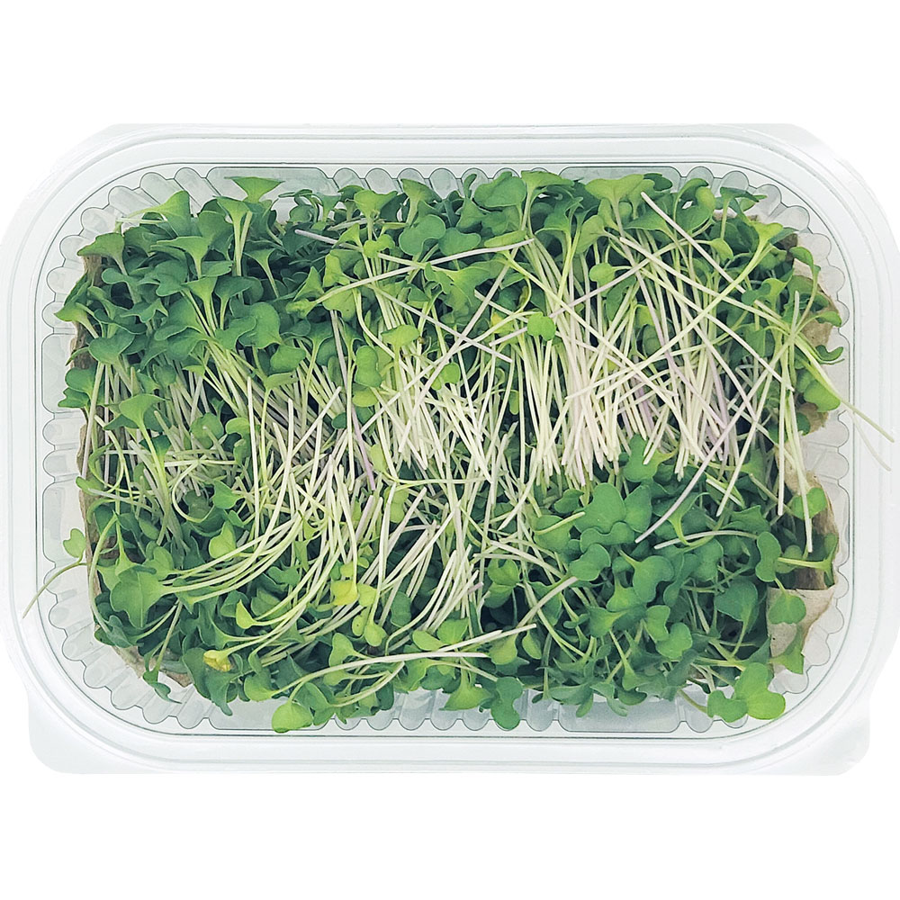 Broccoli Microgreens