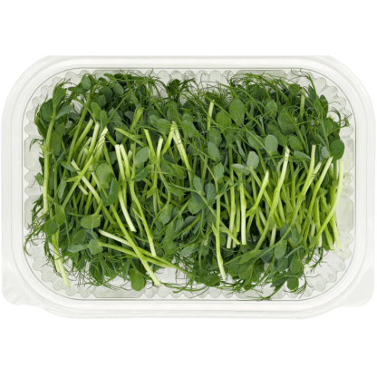 Peas Microgreens