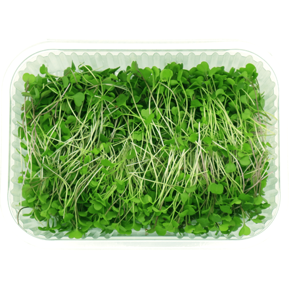 Arugula Microgreens